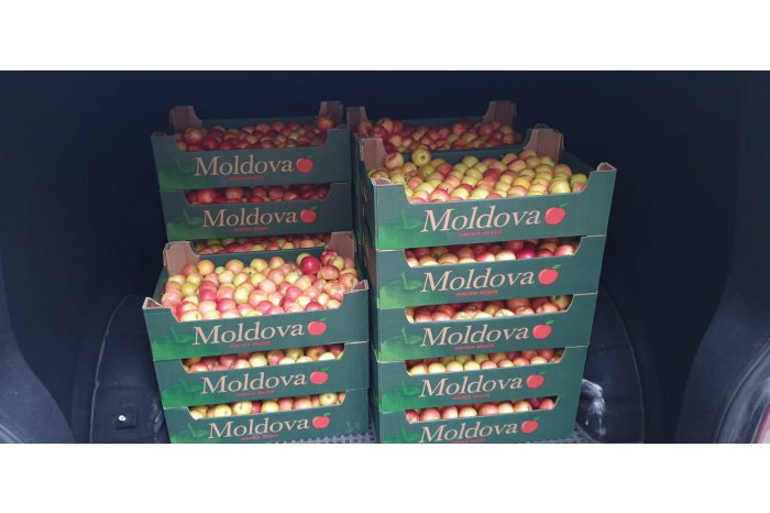 Producătorii de fructe de pe ambele maluri ale Nistrului vor accesa în comun noi piețe de desfacere