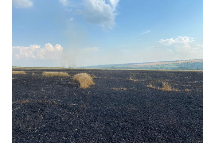 În raionul Taraclia, un incendiu a distrus roada de grâu de pe un câmp de 35 ha