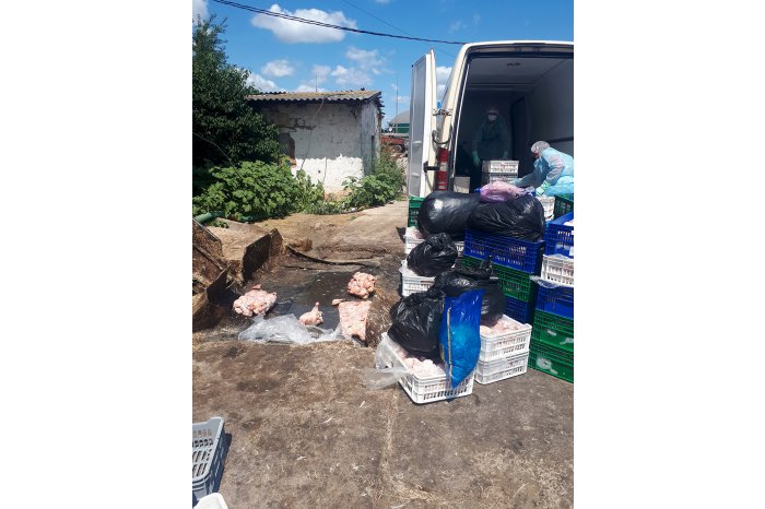 În nordul ţării a fost depistat un lot de produse infestat cu salmonella