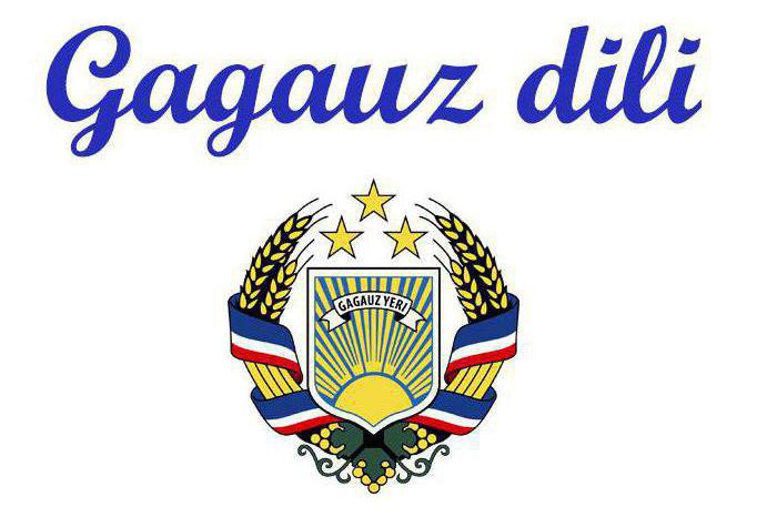 A fost lansată o platformă pentru studierea limbii române și găgăuze în UTA Gagauz-Yeri