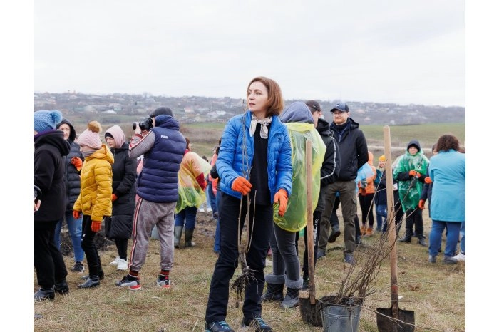 Președintele Maia Sandu a adresat un mesaj de Ziua Internațională a Pădurii