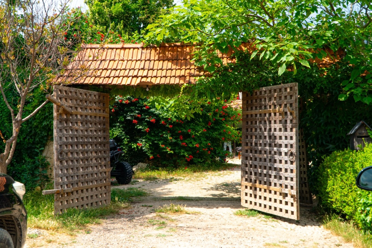 Un nou program de sprijin pentru circa 50 de afaceri din domeniul turismului, votat de Cabinetul de miniștri