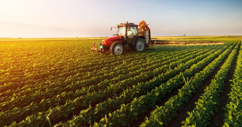 Creditul agricol de urgență, disponibil din 1 martie