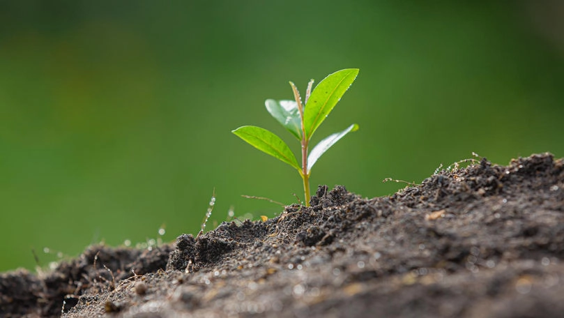 Folosirea și protecția subsolului în Republica Moldova va fi eficientizată