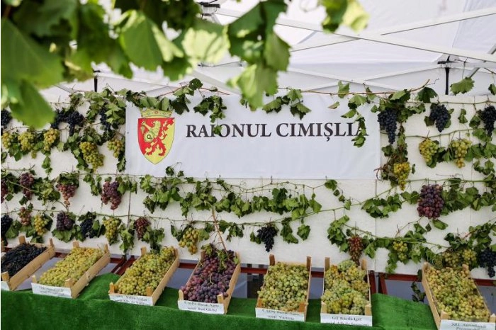 Cea de-a 9-a ediție a Festivalului Strugurelui a adunat la Cimişlia cei mai iscusiţi viticultori