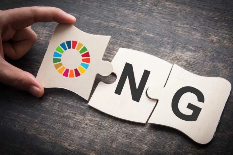 Organizațiile necomerciale vor putea obține finanțare pentru proiecte de interes public din bugetul național și cel local