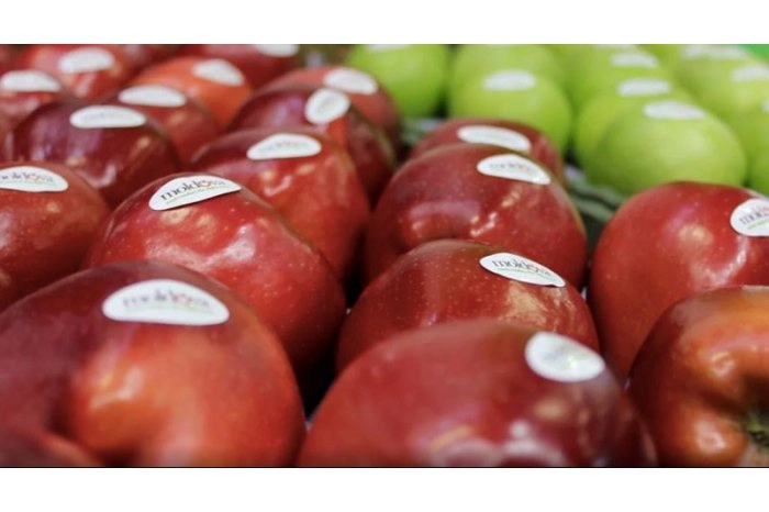 Exportul produselor ecologice moldovenești pe piața Uniunii Europene va fi facilitat