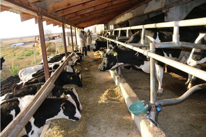Autoritățile au monitorizat două proiecte zootehnice din nordul ţării
