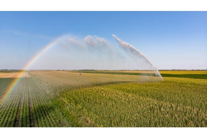 Executivul creează condiții favorabile pentru activitatea Asociațiilor Utilizatorilor de Apă pentru Irigații