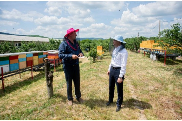 Guvernul va investi în crearea infrastructurii necesare pentru promovarea agroturismului autohton