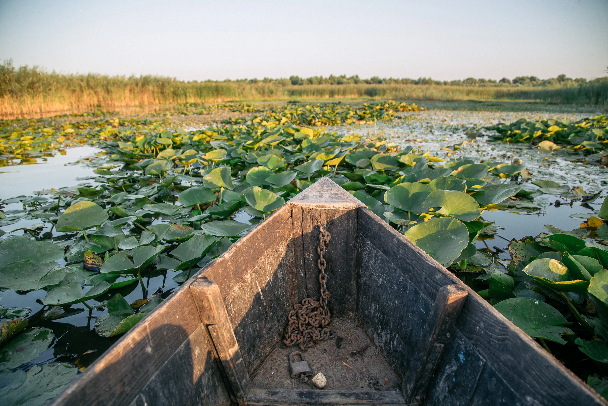 În sudul ţării va fi experimentat un proces de management al destinației