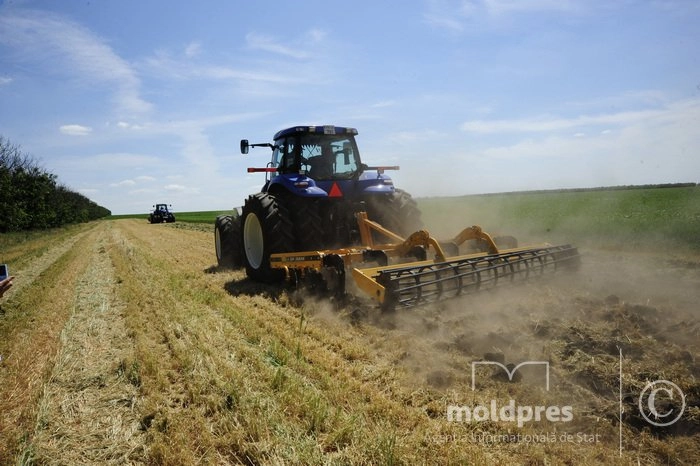 Producătorii de cereale vor beneficia de credite oferite de stat pentru acoperirea cheltuielilor privind lucrările agricole