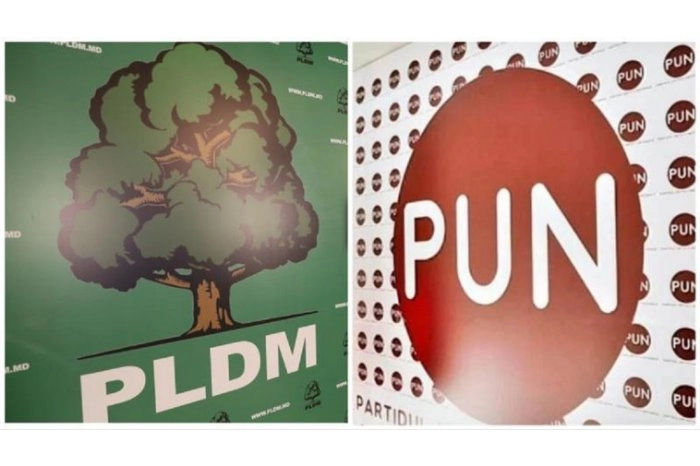 PUN a decis fuzionarea cu PLDM