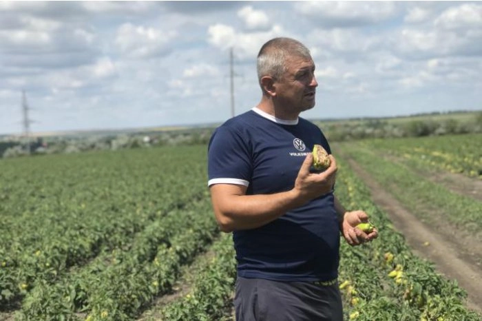 Roada unor fermieri a fost compromisă aproape în întregime, în urma intemperiei din săptămâna trecută