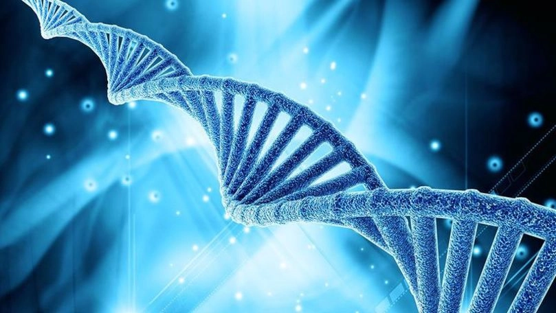 R. Moldova și țările din Europa de Sud-Est vor face schimb de date ADN și informații despre persoanele implicate în infracțiuni