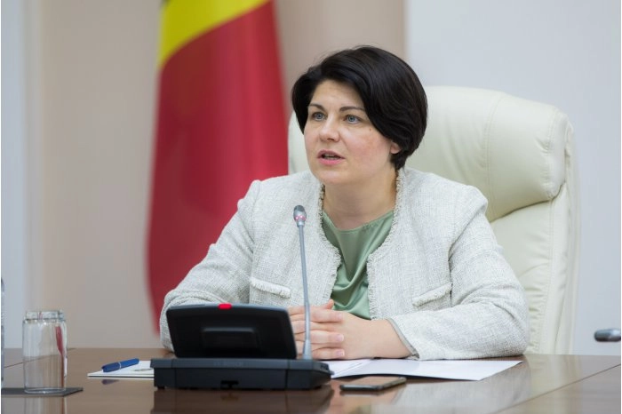 Soluții privind depășirea crizei energetice au fost examinate de prim-ministrul Natalia Gavrilița cu deputați polonezi
