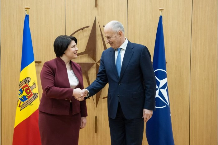 Cooperarea dintre R. Moldova și NATO în noile de condiții de securitate regională a fost discutată de Natalia Gavrilița și Mircea Geoană