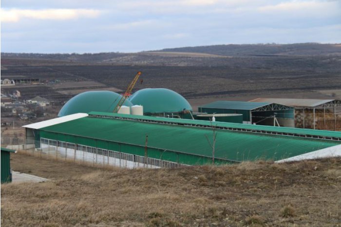 La Hâncești au fost examinate probleme privind dezvoltarea sectorului zootehnic