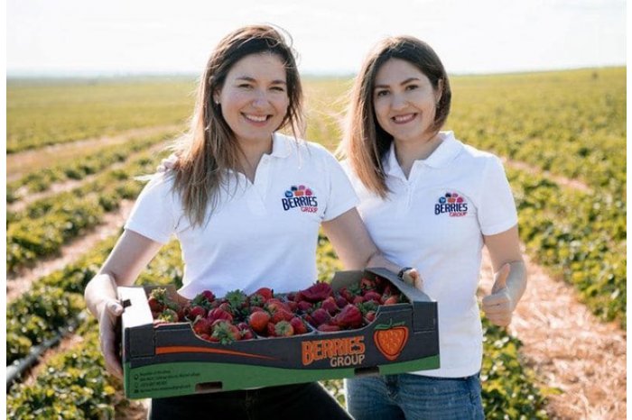 UE va susține crearea clusterelor de afaceri în regiunile Cahul și Ungheni