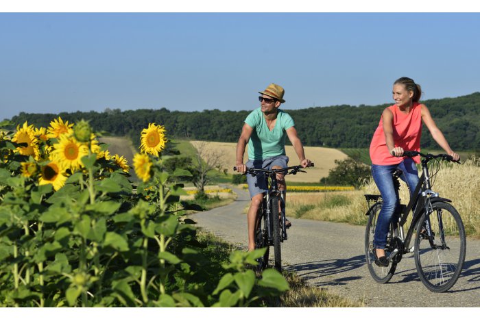 Patru trasee turistice pentru ciclism, alergare și drumeții au fost lansate în sudul R. Moldova