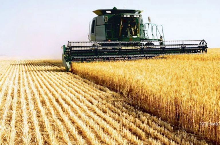 Vicepremierul Vladimir Bolea şi-a început mandatul cu o vizită în regiunea sud, cea mai afectată de secetă