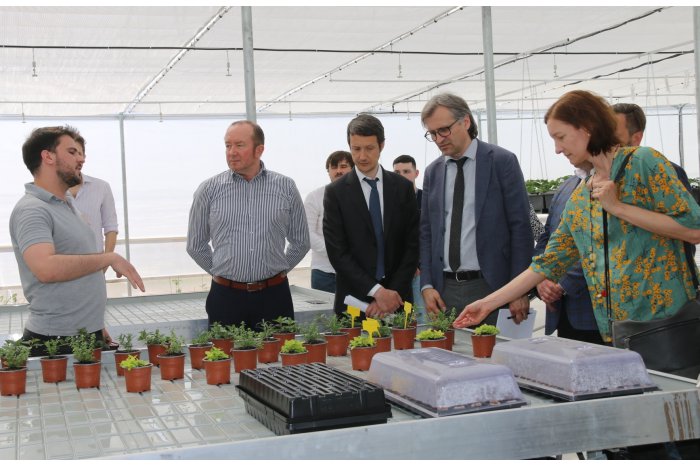 Un proiect investiţional este realizat la Colegiul Agroindustrial din Ungheni