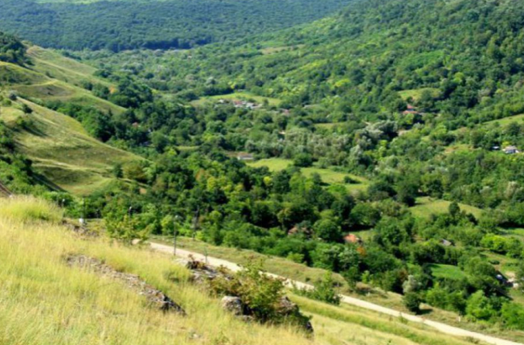 În zona Codrilor Moldovei, regiunea Nisporeni, a fost lansată o reţea de drumeţii