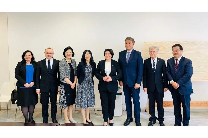 Natalia Gavrilița a discutat cu Asociația Japoneză a Directorilor Corporativi despre oportunitățile investiționale ale R. Moldova