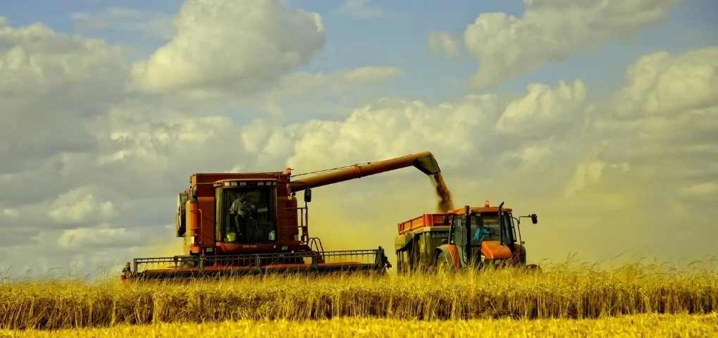  Producătorii agricoli vor beneficia de rambursarea TVA în baza unor noi reguli