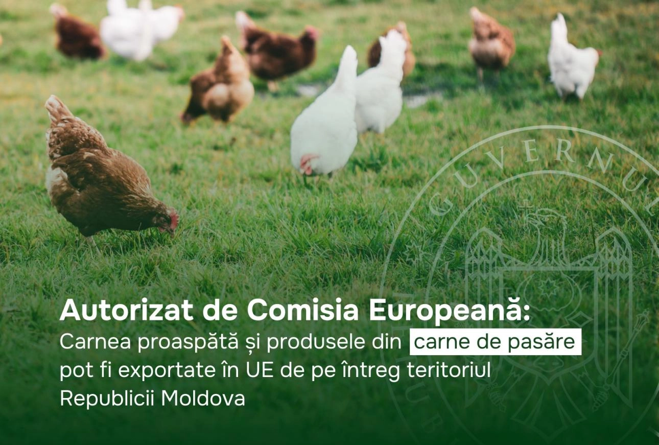Autorizat de Comisia Europeană: Carnea proaspătă și produsele din carne de pasăre pot fi exportate în UE de pe întreg teritoriul Republicii Moldova