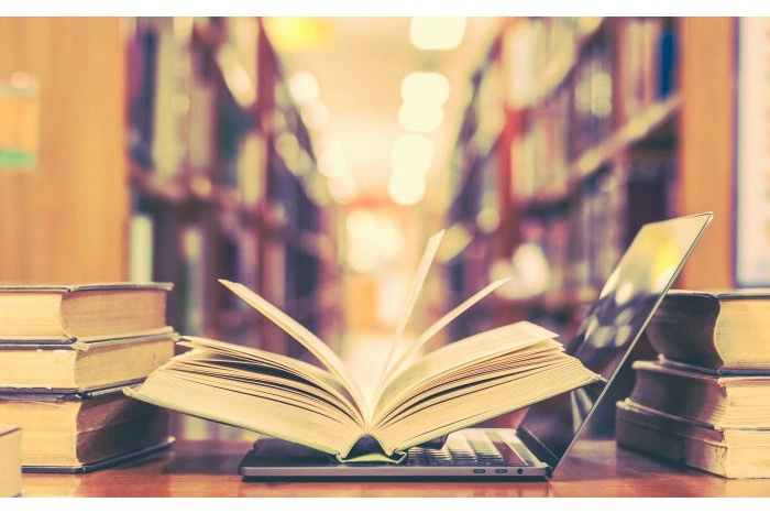 Aprobat de Guvern: Noi reguli de activitate pentru biblioteci