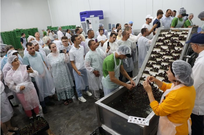 Prima linie de calibrare și sortare a cireșelor din UTA Gagauz-Yeri a fost prezentată producătorilor din regiune