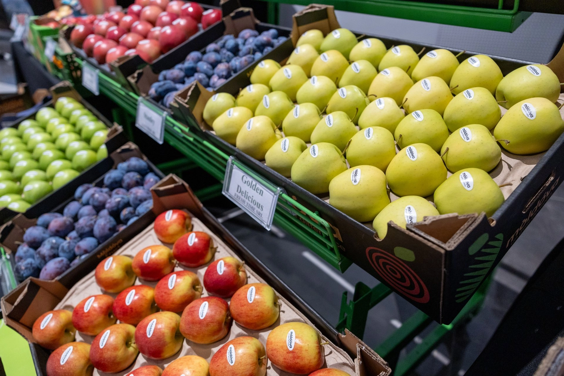 Conferința Businessul Fructelor 2025: producătorii mizează pe livezi moderne, tehnologie și piețe noi de export