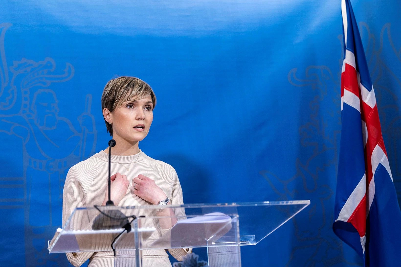 Islanda va organiza în lunile următoare un referendum privind redeschiderea negocierilor de aderare la UE