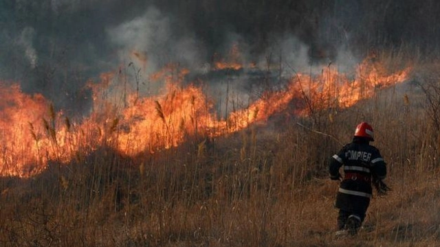 Peste 35 de hectare de vegetație uscată, mistuite de flăcări în ultimele 24 de ore. IGSU vine cu recomandări