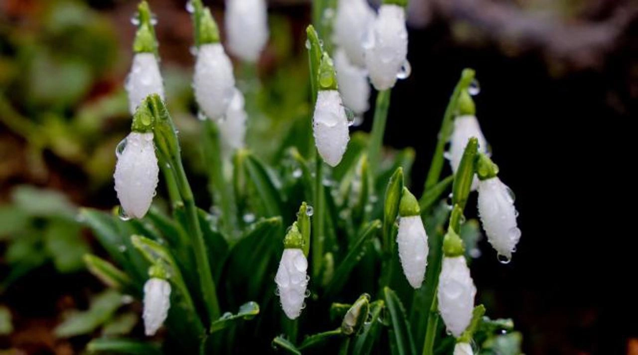 Vremea continuă să se încălzească
