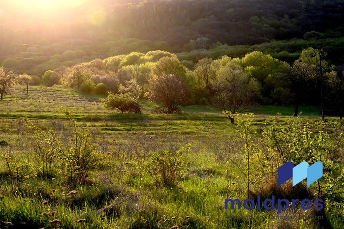 Miercuri, vremea se va menține frumoasă și caldă