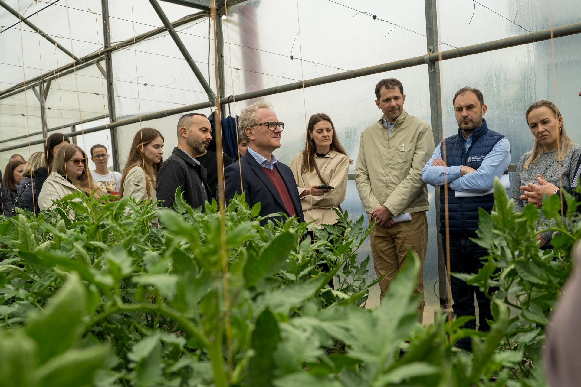 Legumicultorii din Republica Moldova vor beneficia de sprijin din partea FAO și Elveției pentru a-și adapta tehnologiile de producere și a accesa noi piețe