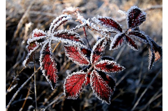 Meteorologii prognozează pentru miercuri ninsoare și lapoviță