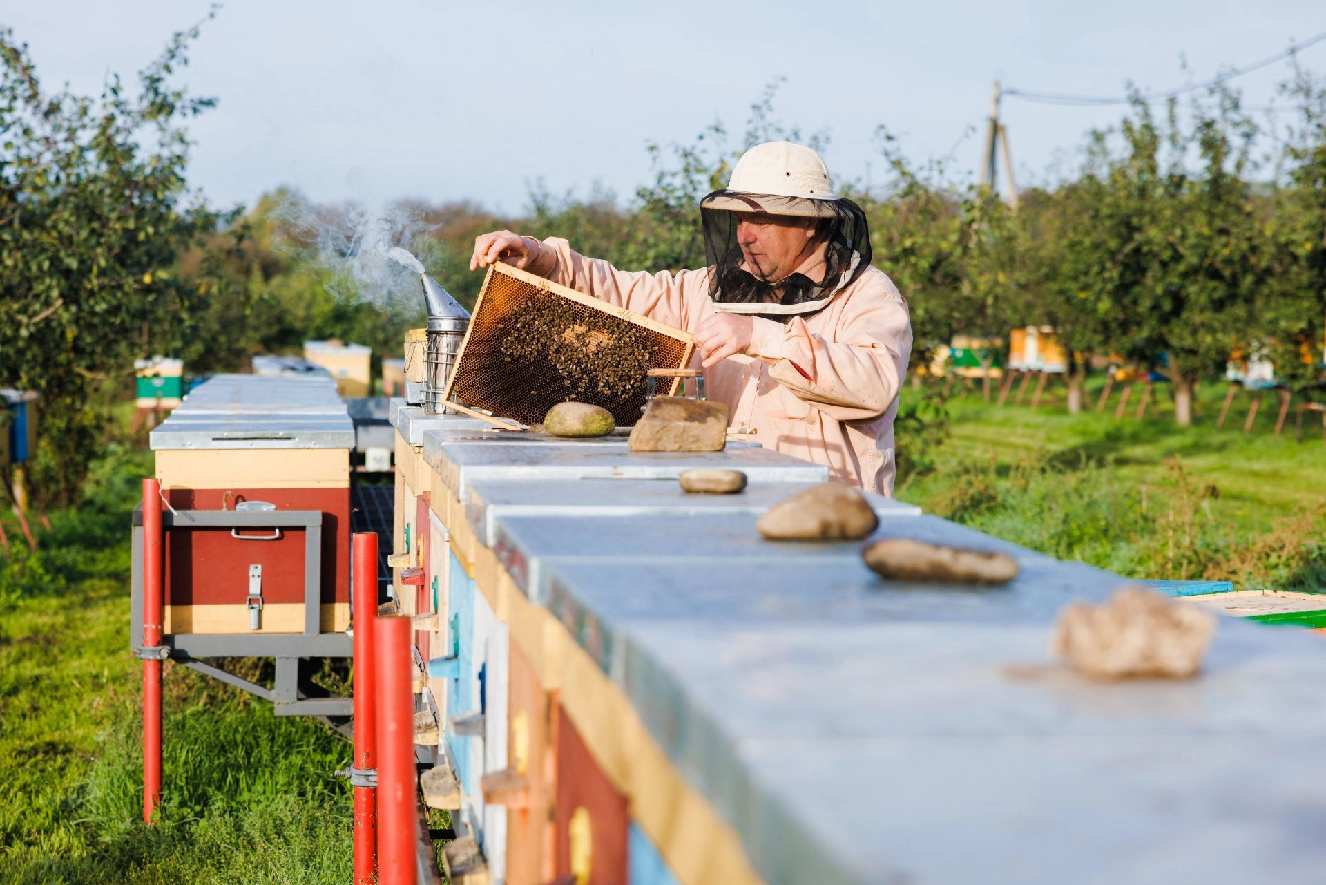 Elveția și PNUD lansează concurs pentru selectarea în R. Moldova a trei regiuni cu specializare economică inteligentă