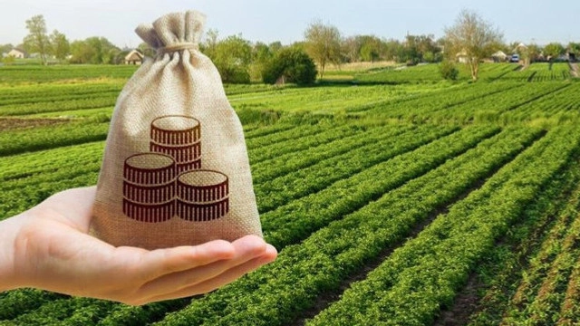 Fermierii din Moldova au primit săptămâna trecută circa 38 milioane de lei prin subvenții, pentru sectorul zootehnic și dezvoltarea rurală