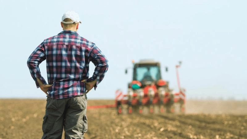 De astăzi, fermierii pot depune cererile pentru compensarea pierderilor provocate de seceta din 2025
