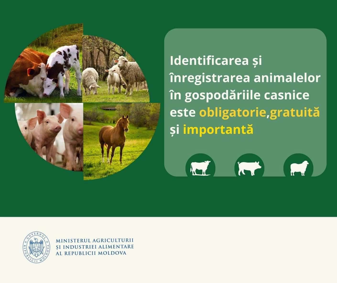 Crescătorii de animale, atenţionaţi că identificarea și înregistrarea acestora este obligatorie şi gratuită