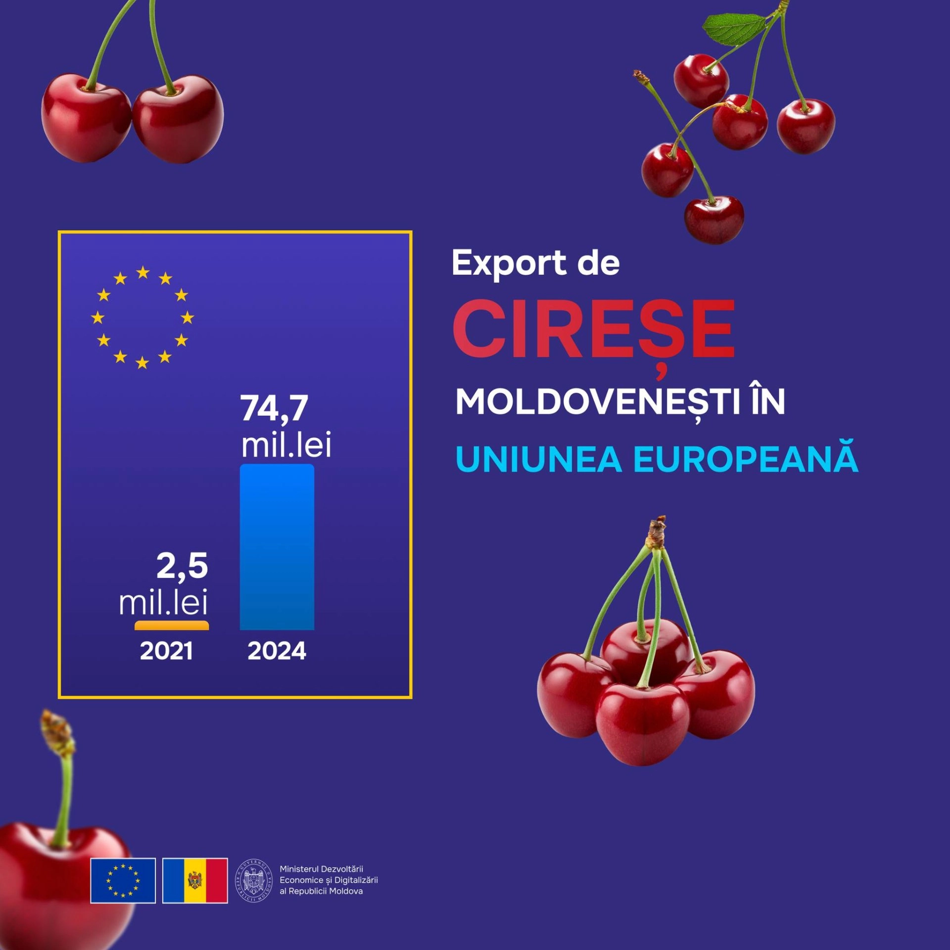 Fructele moldovenești, tot mai apreciate pe piața UE. Exporturile au crescut constant în ultimii ani