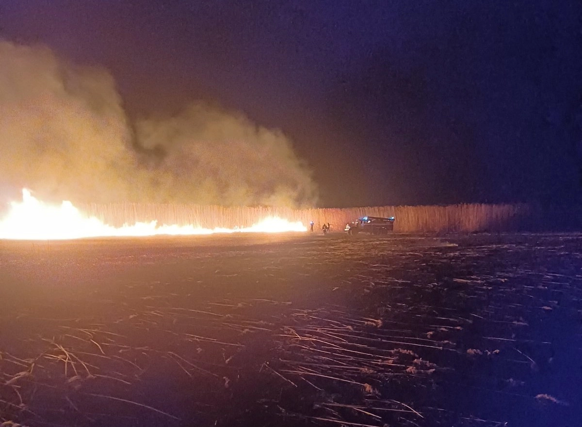 Incendiu masiv în lunca Prutului. Zece hectare de stufăriș au fost mistuite de flăcări