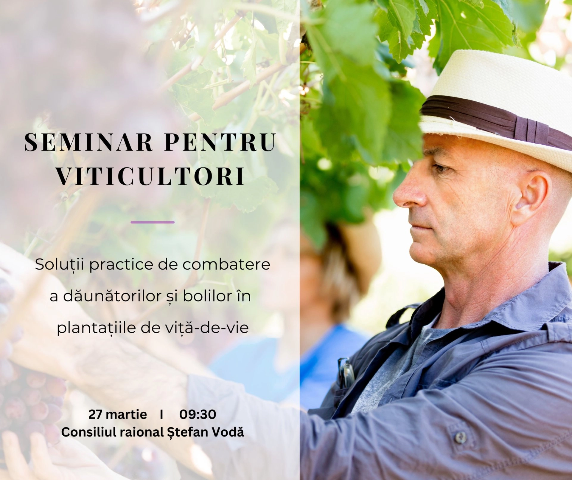 Viticultorii din ţară, invitați pe 27 martie la Ştefan Vodă, pentru a afla despre protecție, noi tehnologii şi finanțări în domeniu