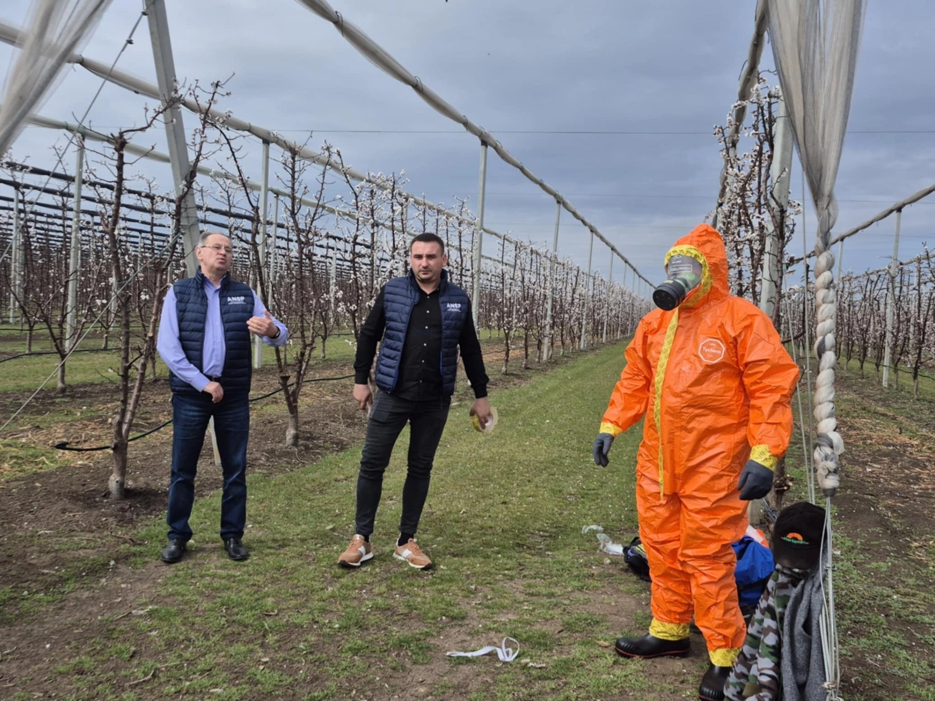 Autorităţile explică în localităţile ţării despre aplicarea raţională a pesticidelor