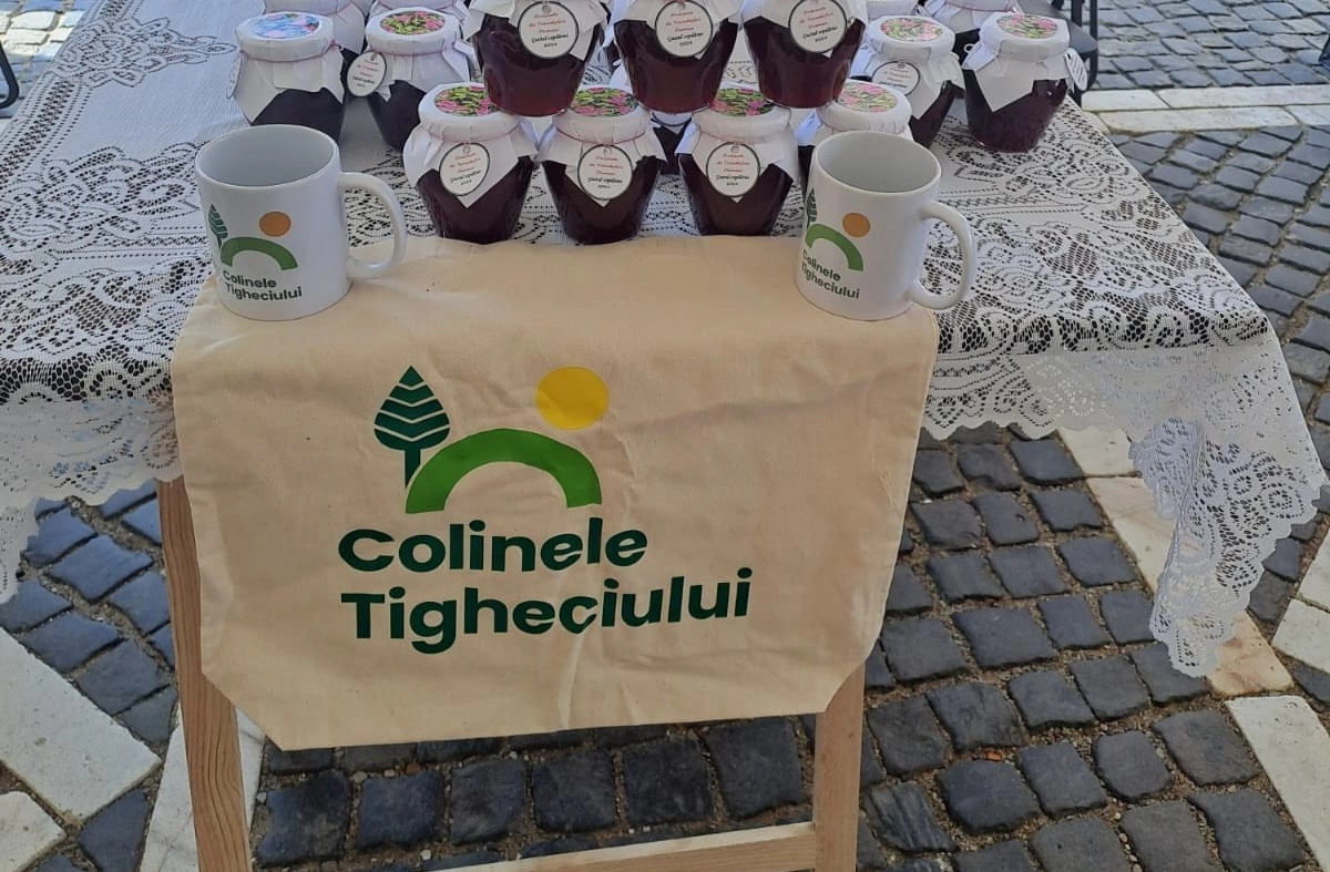 Două Grupuri de Acțiune Locală vor integra dimensiunea Diaspora, Migrație și Dezvoltare în strategiile lor de dezvoltare