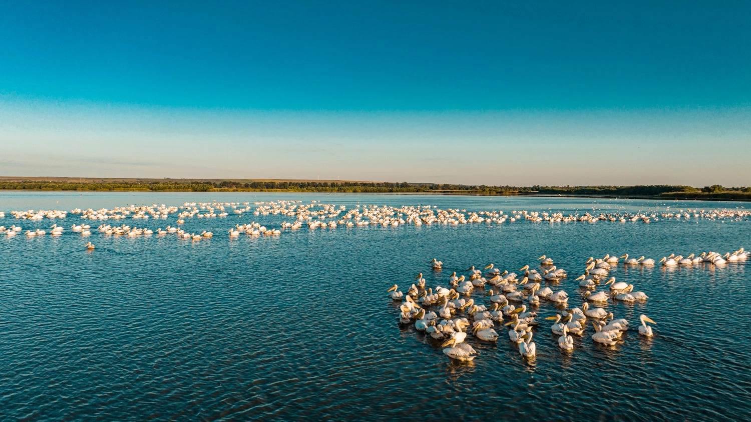 În R. Moldova a fost instituit Comitetul de supraveghere și coordonare a finanțelor pentru Biodiversitate