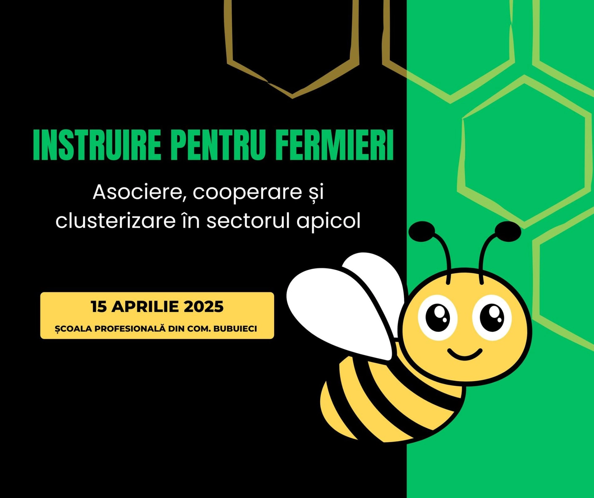 Fermierii, invitați la un nou curs de instruire pentru asociere, cooperare și clusterizare în sectorul apicol